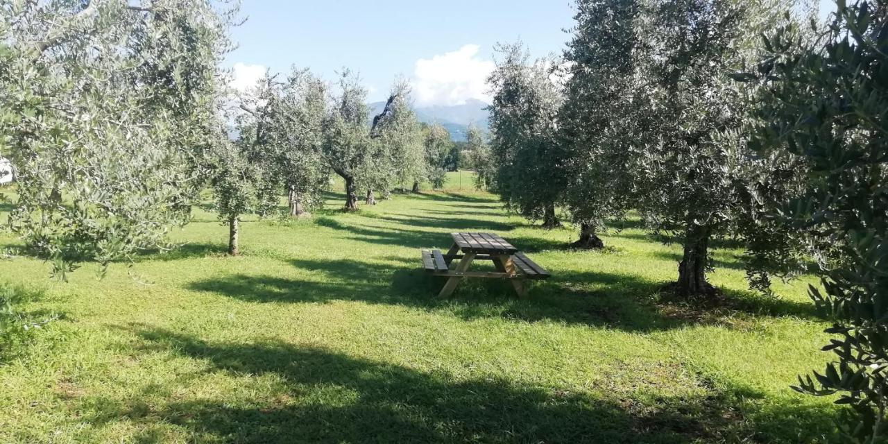 פולפנצה דל גארדה Agriturismo Fioralba מראה חיצוני תמונה