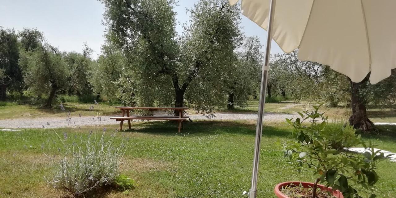 פולפנצה דל גארדה Agriturismo Fioralba מראה חיצוני תמונה