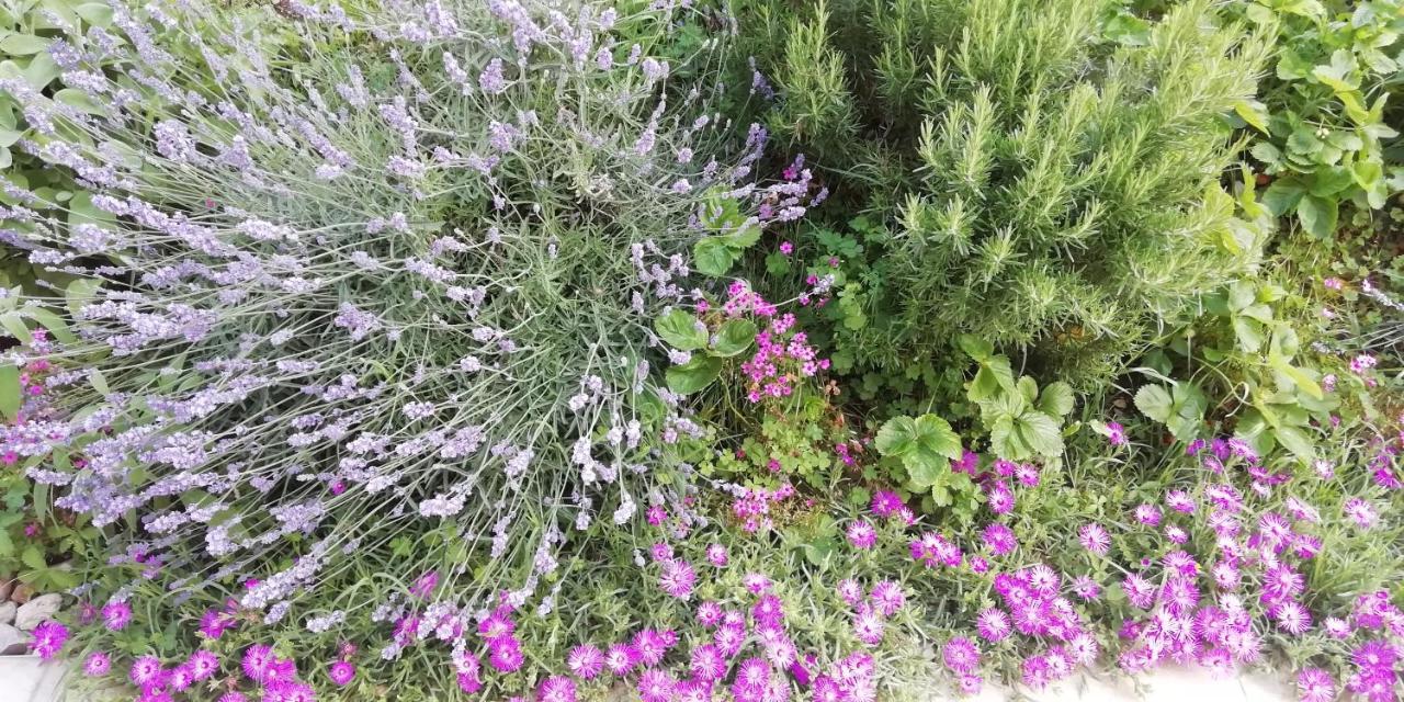 פולפנצה דל גארדה Agriturismo Fioralba מראה חיצוני תמונה