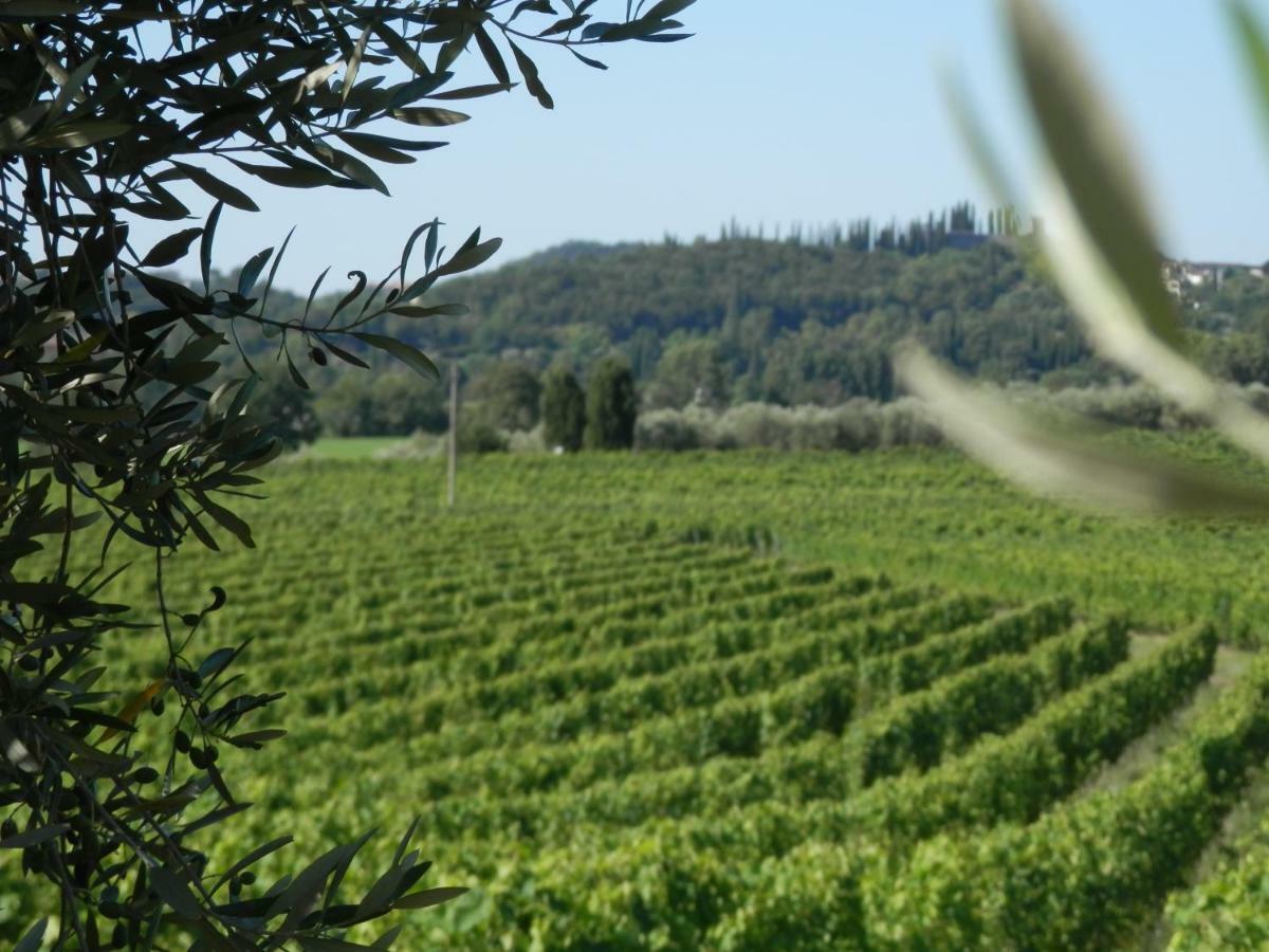 פולפנצה דל גארדה Agriturismo Fioralba מראה חיצוני תמונה