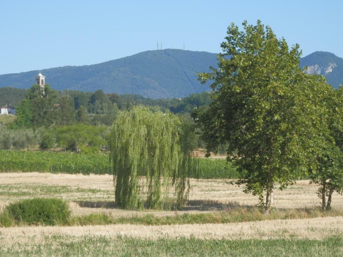 פולפנצה דל גארדה Agriturismo Fioralba מראה חיצוני תמונה
